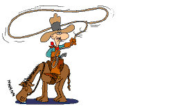 Miniature donkey Cowboy and Horse