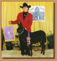 miniature donkeys